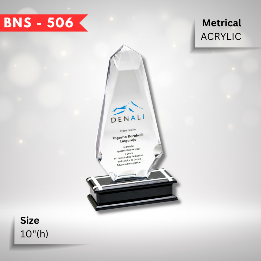BNS - 506