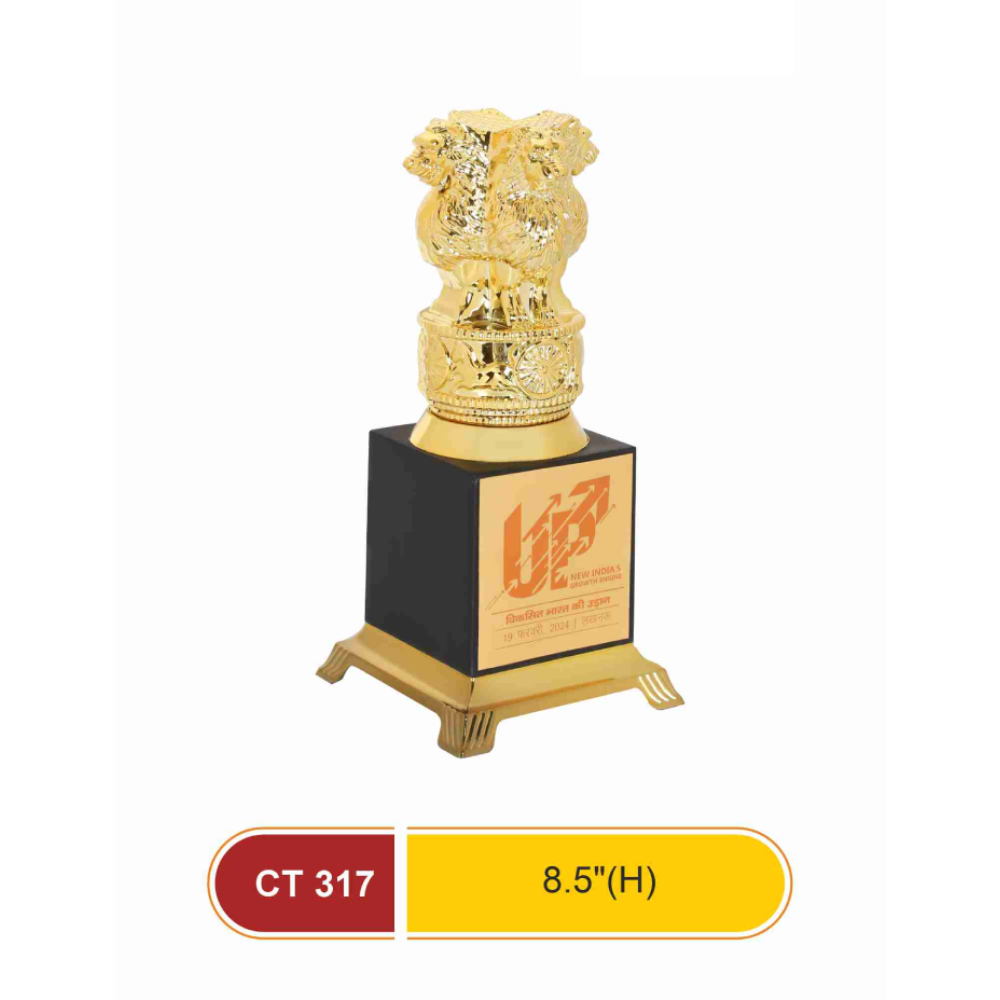 CT 317
