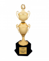 Cups & Trophies