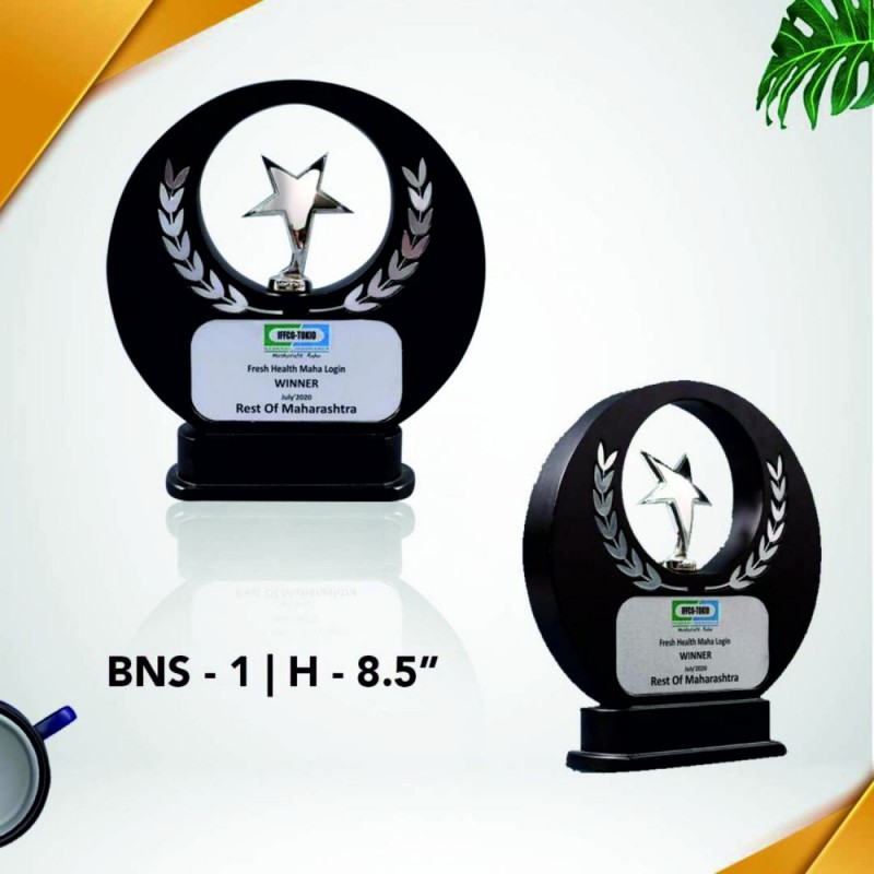 BNS - 1