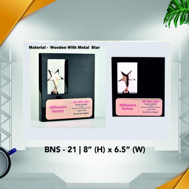BNS - 21