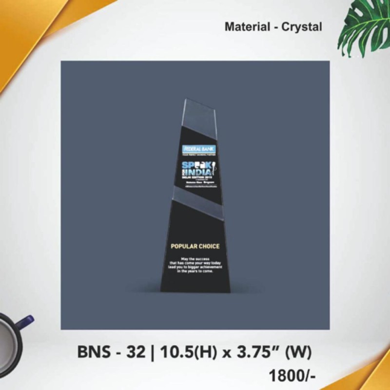 BNS - 32