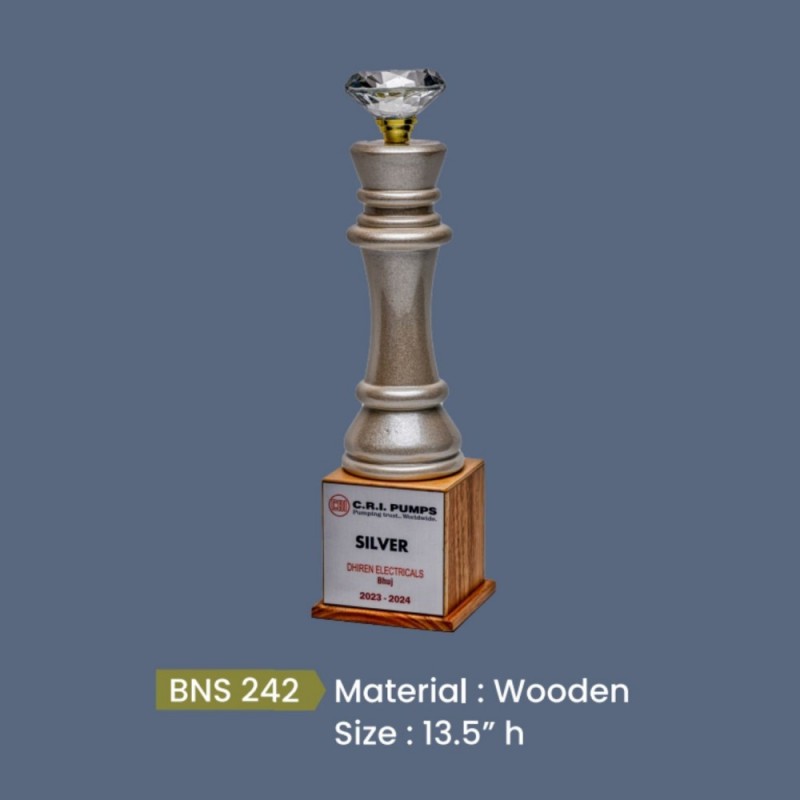 BNS - 242