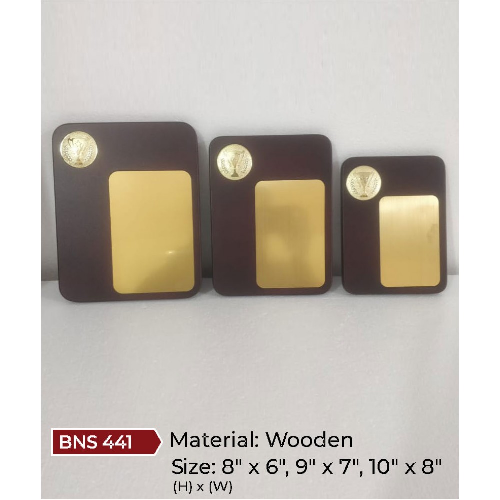 BNS - 441( 10"H x 8"W )