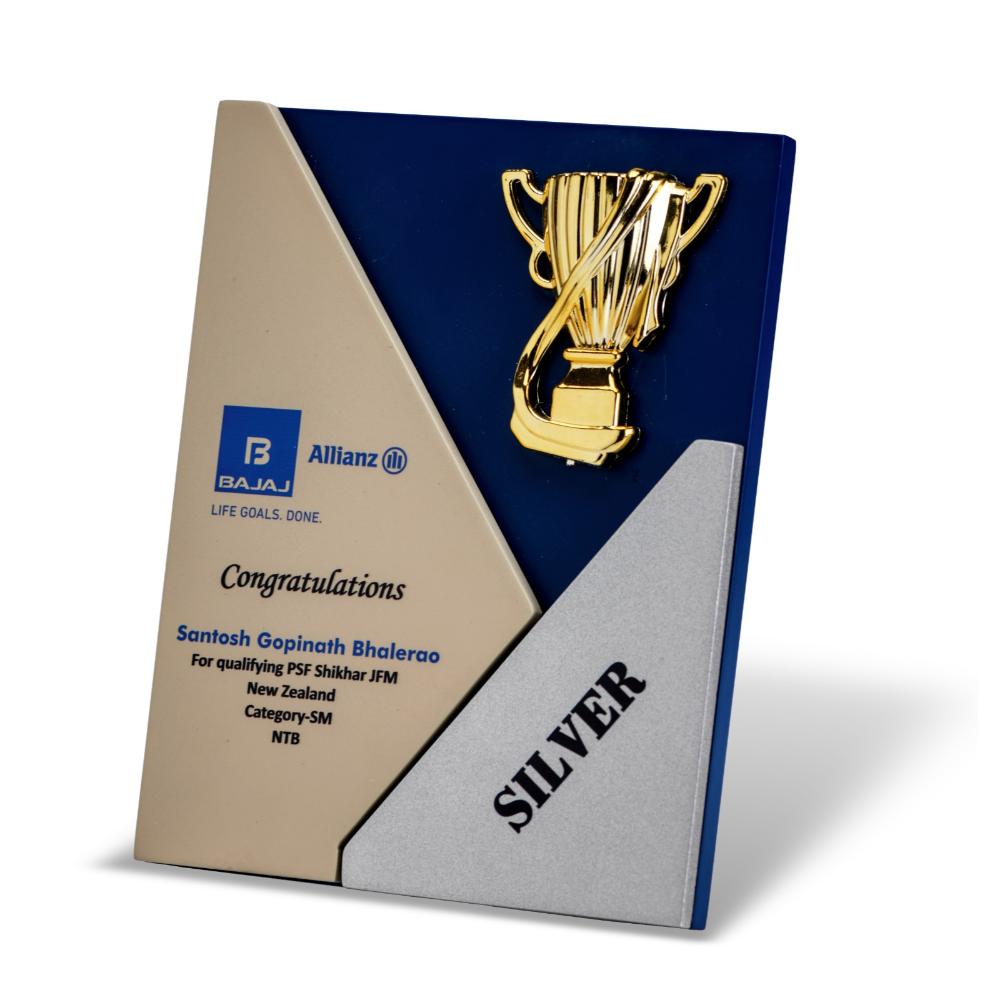 BNS - 579 10"(H) X 7"(W)